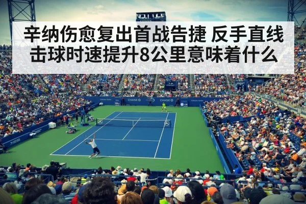 professional tennis match